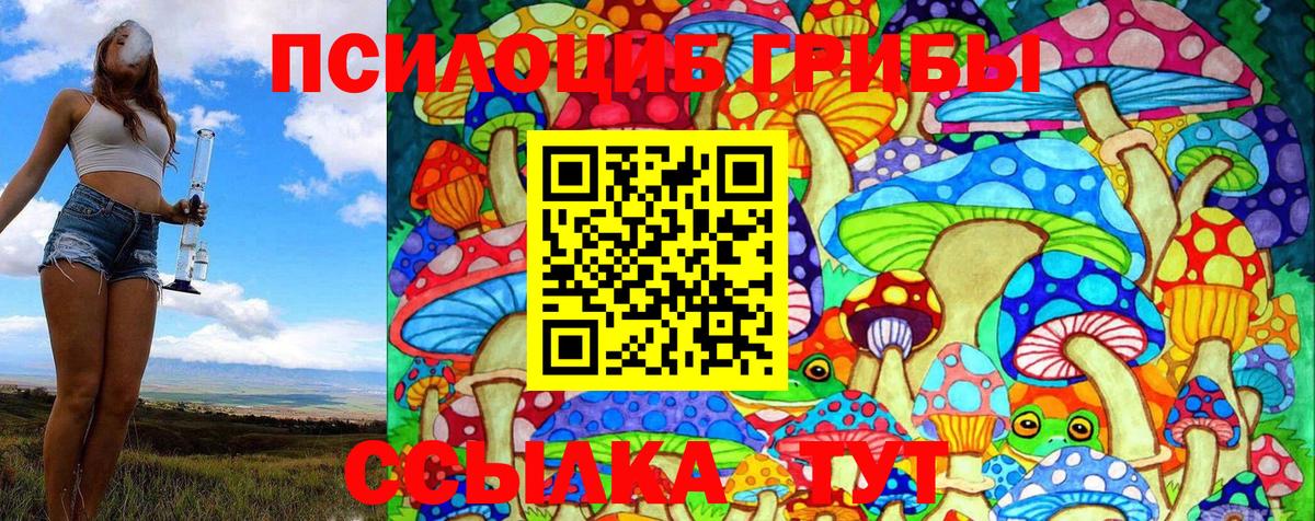 Галлюциногенные грибы прущие грибы  Великий Устюг 